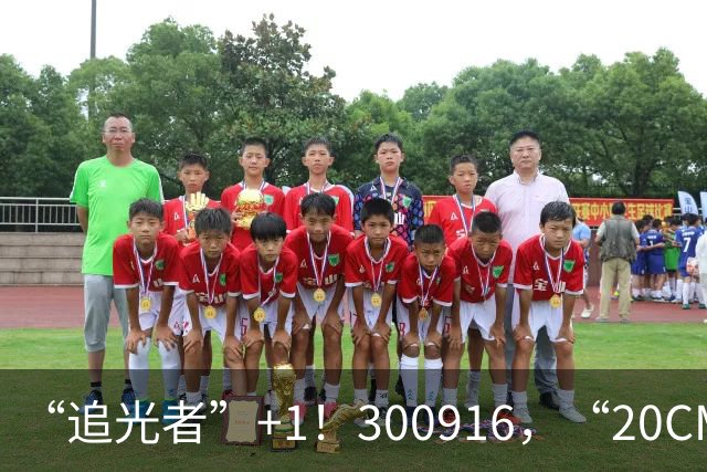 “追光者”+1！300916，“20CM”涨停