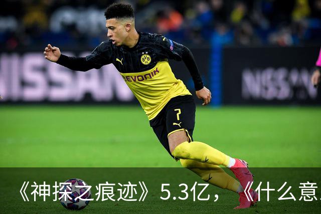 《神探之痕迹》5.3亿，《什么意思夫妇》3.2亿，但小沈阳无所谓！