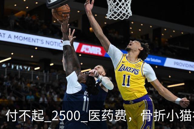 付不起 2500 医药费，骨折小猫被丢在地铁站口，3小时后一瘸一拐自己回到医院，猫：我还想活！