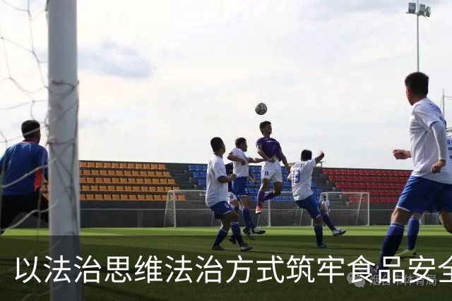 以法治思维法治方式筑牢食品安全治理压舱石