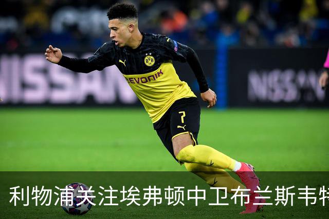 利物浦关注埃弗顿中卫布兰斯韦特，曼联也在持续考察