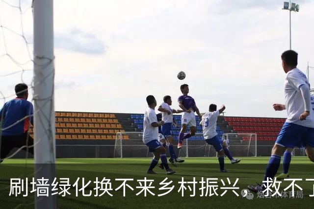 刷墙绿化换不来乡村振兴，救不了乡村衰败的危机