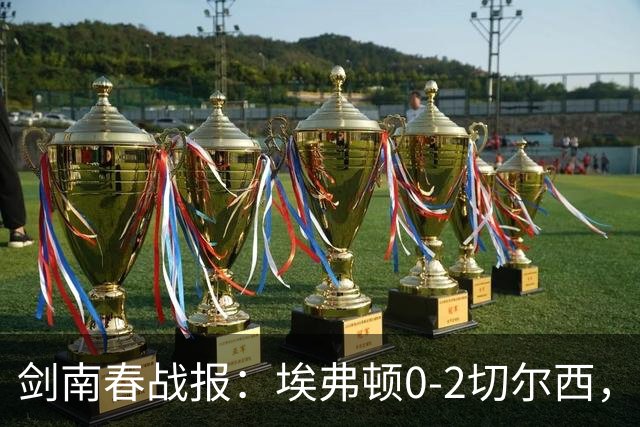 剑南春战报：埃弗顿0-2切尔西，内托双响，大马丁伤退