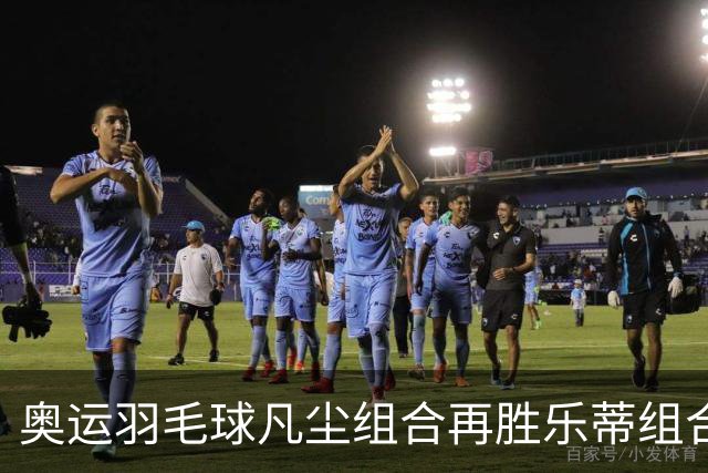 奥运羽毛球凡尘组合再胜乐蒂组合 闯进女双决赛