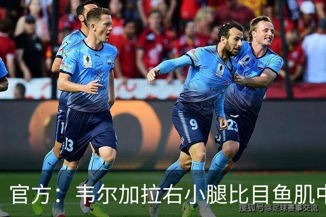 官方：韦尔加拉右小腿比目鱼肌中度拉伤；据悉至少休战15天