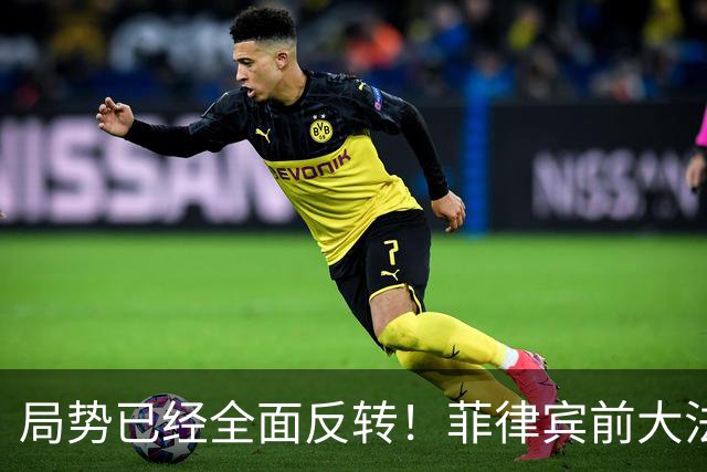 局势已经全面反转！菲律宾前大法官公开表示：总统与副总统不得参与任何商业活动