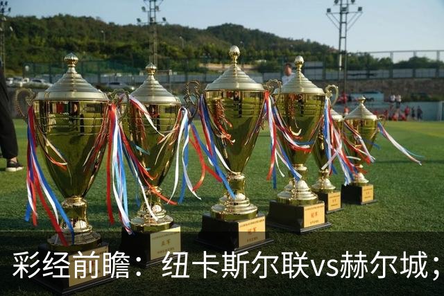 彩经前瞻：纽卡斯尔联vs赫尔城；首选2比1，次选1比1
