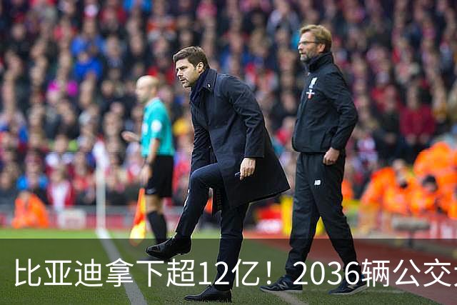 比亚迪拿下超12亿！2036辆公交大单落地 中标人还有谁