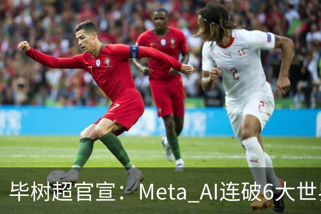 毕树超官宣：Meta AI连破6大世界猜想，数学界AlphaGo时刻来了！