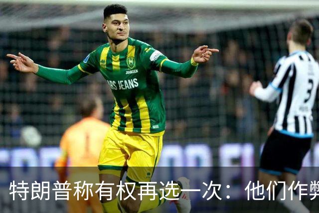 特朗普称"有权再选一次"：他们作弊，宪法条文很简洁