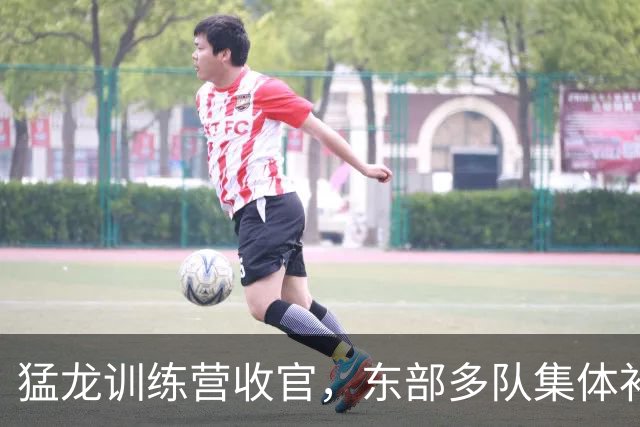 猛龙训练营收官，东部多队集体补强围剿伦纳德
