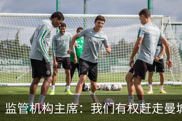 监管机构主席：我们有权赶走曼城老板曼苏尔