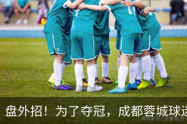 盘外招！为了夺冠，成都蓉城球迷计划干扰大连英博，手段太不光彩
