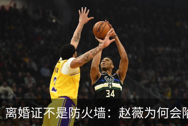 离婚证不是防火墙：赵薇为何会陷入缅北诈骗的舆论漩涡