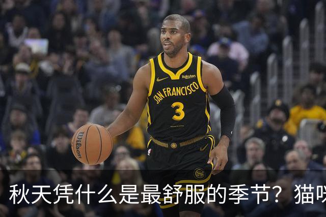 秋天凭什么是最舒服的季节？猫咪表情包给出了答案