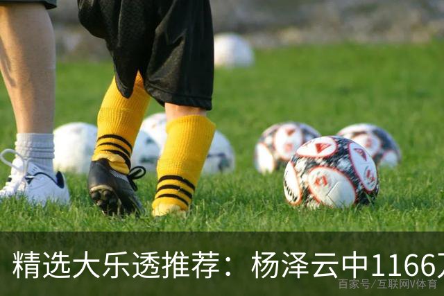 精选大乐透推荐：杨泽云中1166万 4大专家中93万