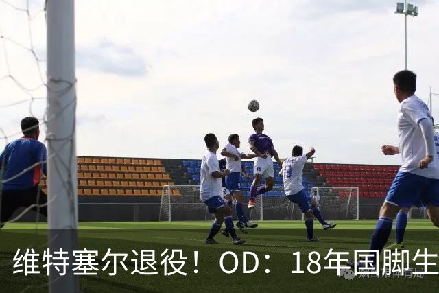 维特塞尔退役！OD：18年国脚生涯落幕