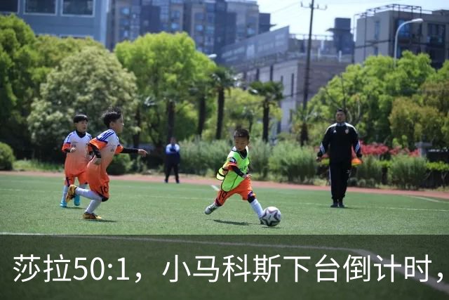 莎拉50:1，小马科斯下台倒计时，最反华的特奥多罗终究成了笑话