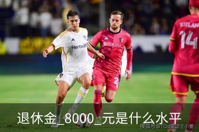 退休金 8000 元是什么水平