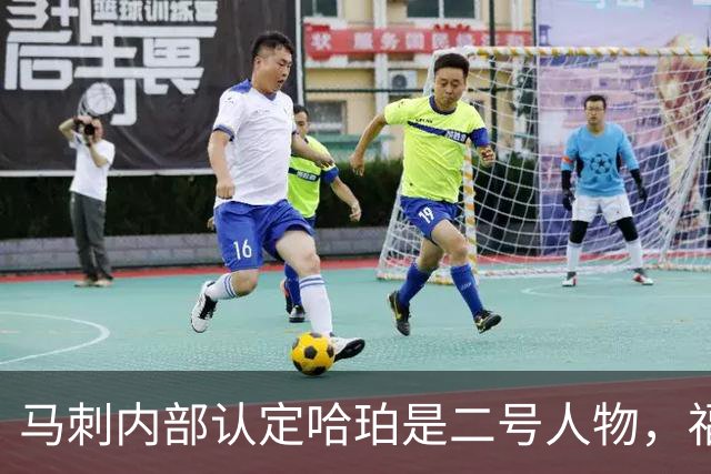 马刺内部认定哈珀是二号人物，福克斯和卡斯尔都得让位？