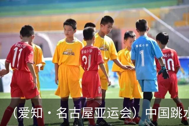 （爱知·名古屋亚运会）中国跳水队达成亚运“百金”