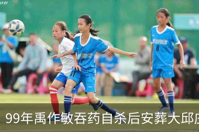 99年禹作敏吞药自杀后安葬大邱庄祖坟，坟前冷清无人祭拜！